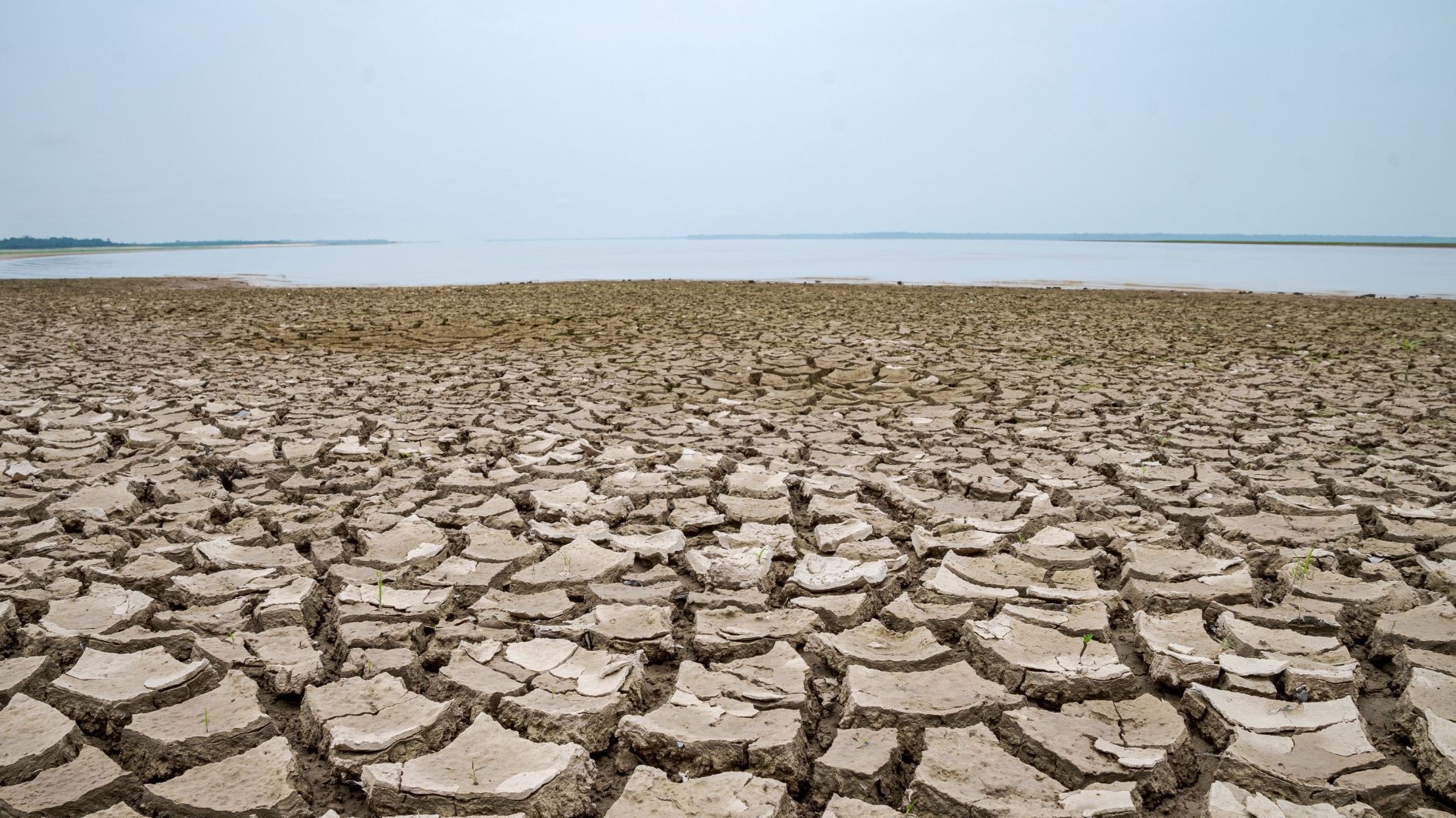 Brazil will experience climate change in all regions, says study