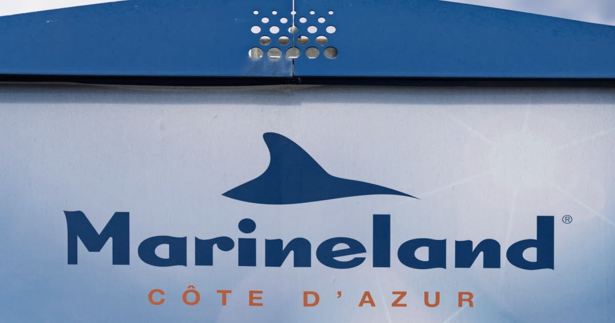 Alpes-Maritimes. Marineland: Video sorgt für Besorgnis und entfacht erneut Kontroverse über das Schicksal der Orcas