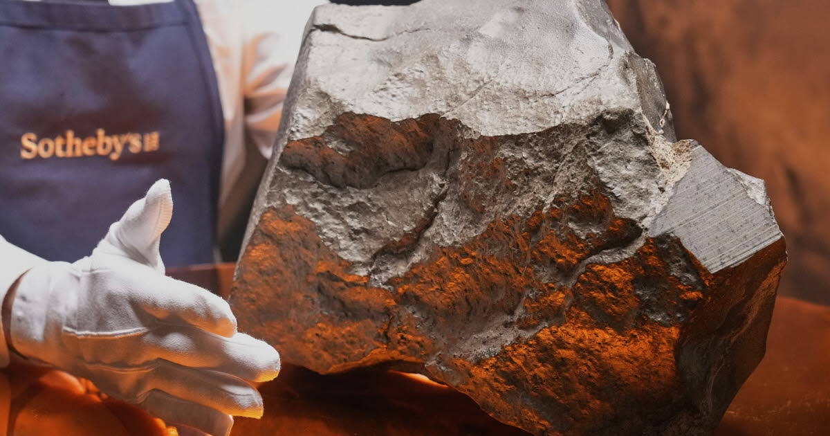 Space. Who owns the largest Martian meteorite to fall from the sky?