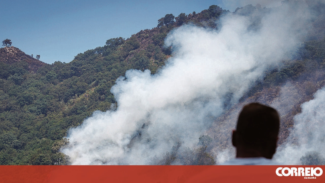 <![CDATA[ 'Fantasma' provoca 17 incêndios num ano em Ponte da Barca ]]>
