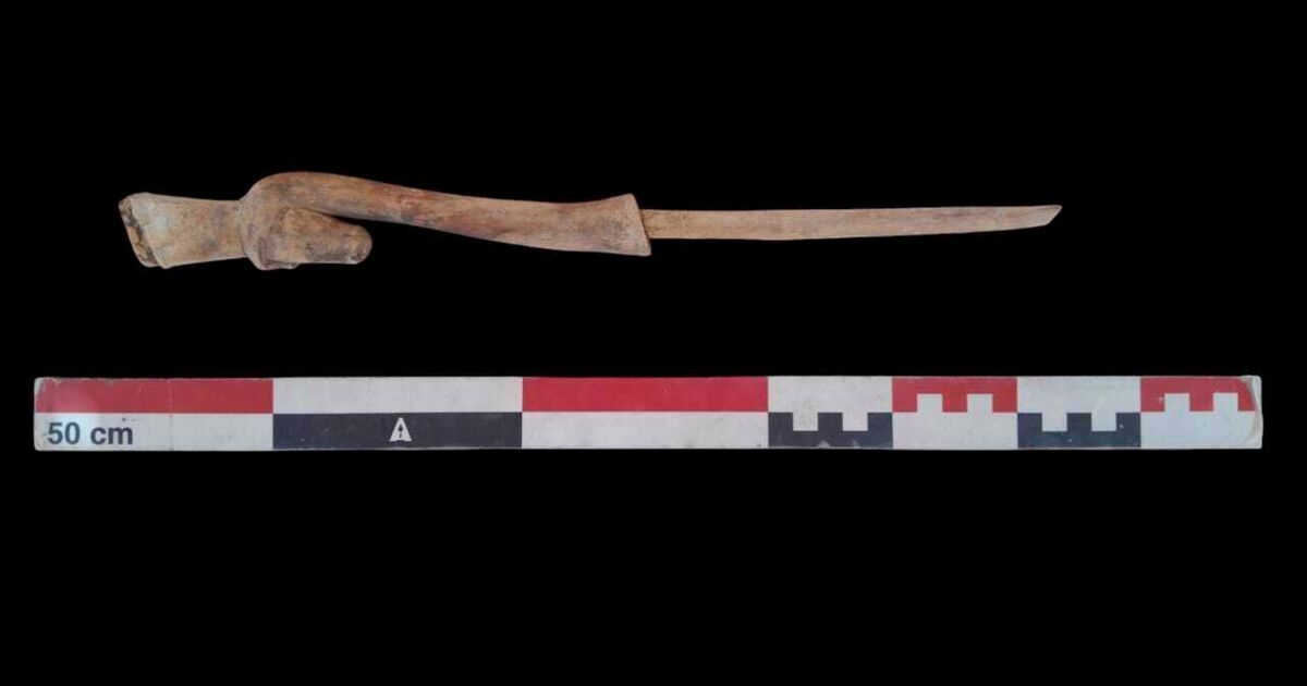 El descubrimiento de tres antiguas tumbas egipcias revela secretos que nadie podría haber imaginado