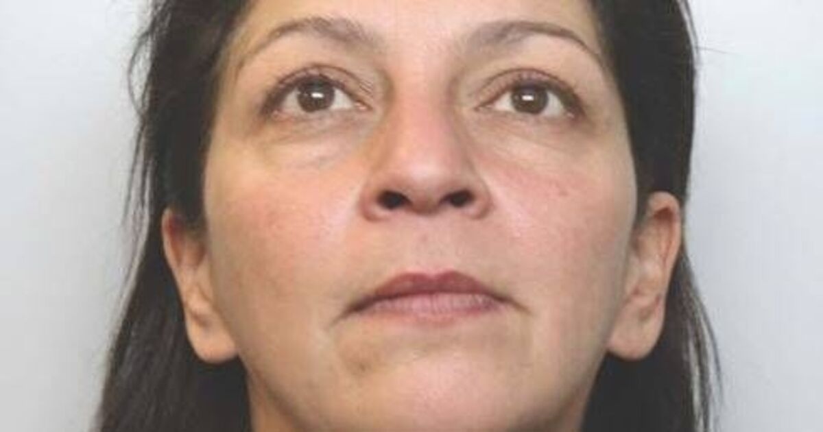 Mum stabbed son's dog to death with Samurai sword then told chilling lie