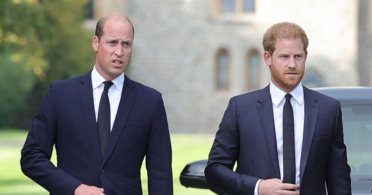 Prince William must bring Harry 'in from the cold' to stop Sussexes 'seeking revenge'
