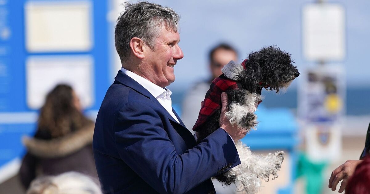 Indignación por la muerte de perros en condiciones insalubres en los llamados "centros de rescate"