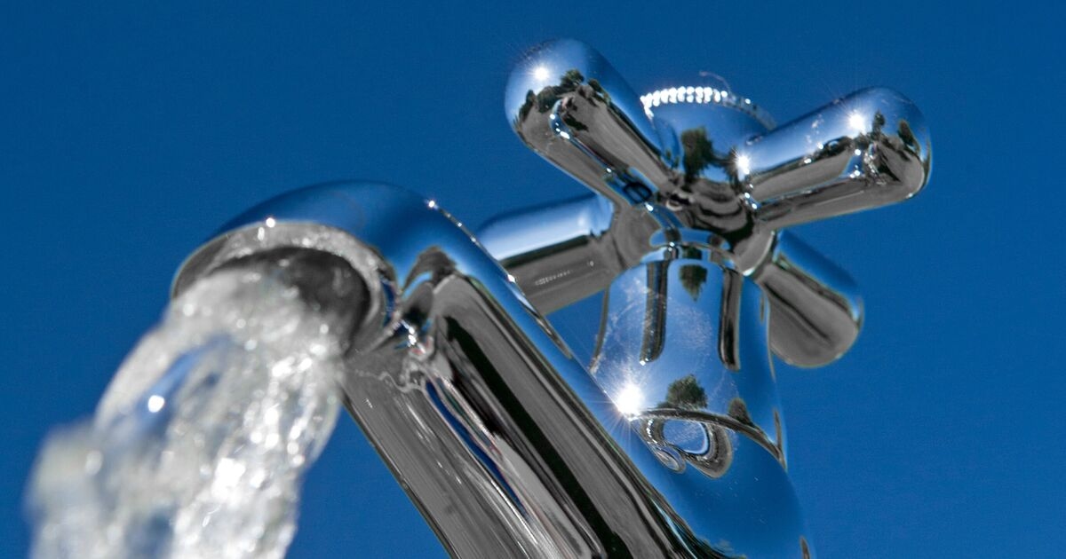 Campagnevoerders krijgen volledige rechtszitting tegen waterwaakhond vanwege vermeende dubbele facturering