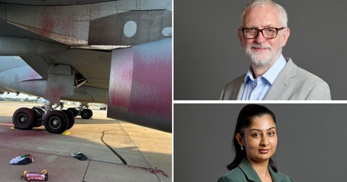 Full list of the 11 MPs defending Palestine Action despite 'terror' ban - 'shame!'