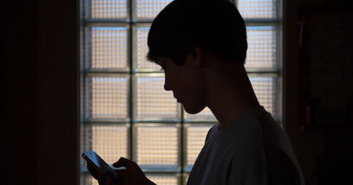 Britânicos dizem que regras para manter crianças longe de sites adultos não funcionarão