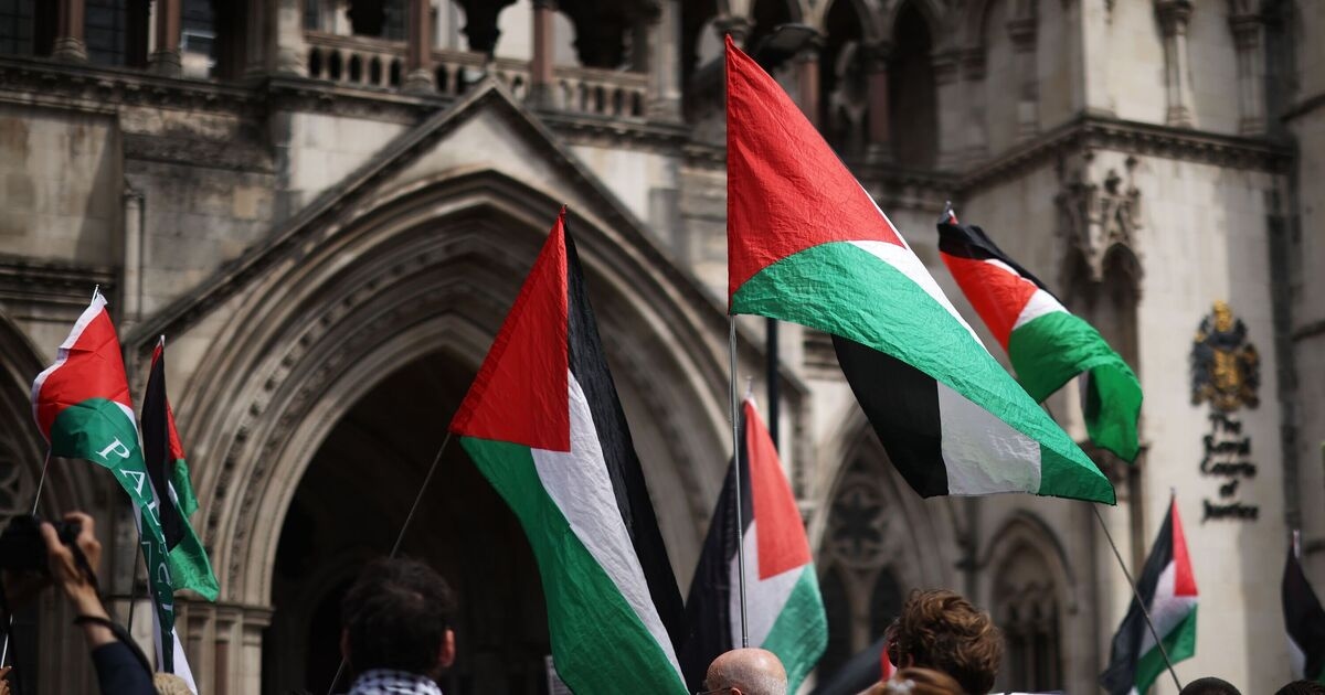 Palestine Action in new plot to overwhelm police with huge London protest breaking ban