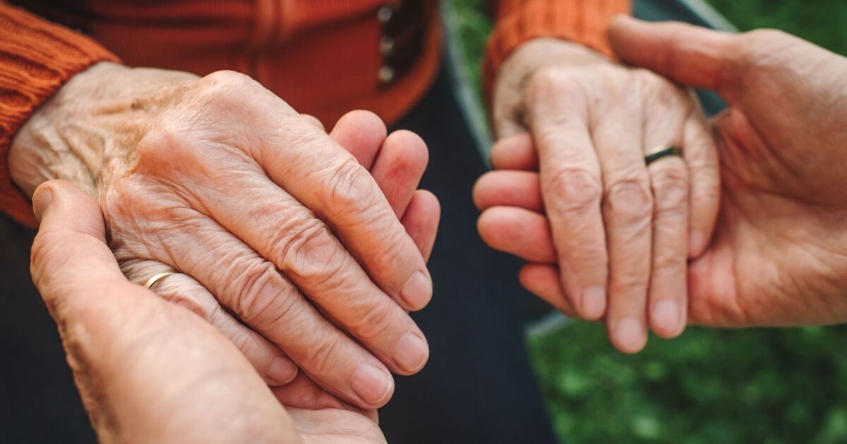 Fountain of Youth drug combination ‘could protect against ageing’, study finds