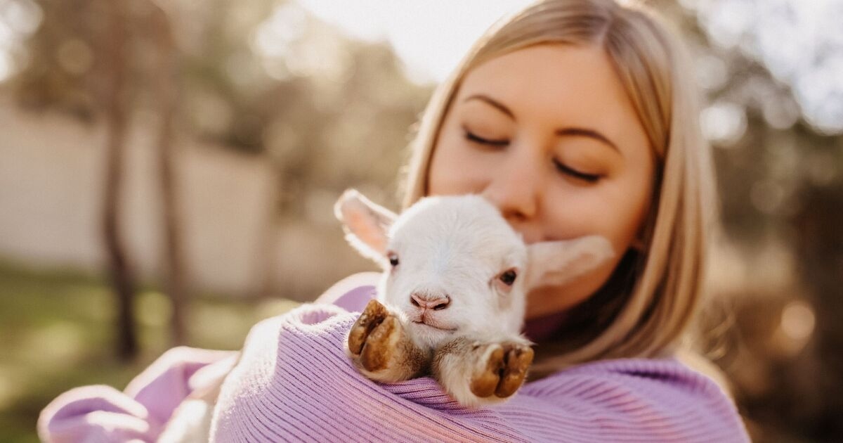 Vegetariërs zijn niet vriendelijker dan vleeseters, volgens onderzoek