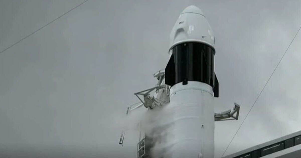 Moment NASA SpaceX Crew-11 launch is aborted just seconds before launch