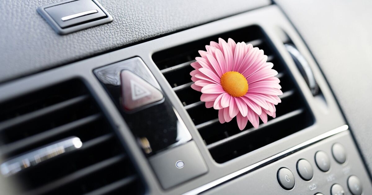 Gli esperti spiegano cosa causa realmente l'odore di "auto nuova" e come eliminarlo