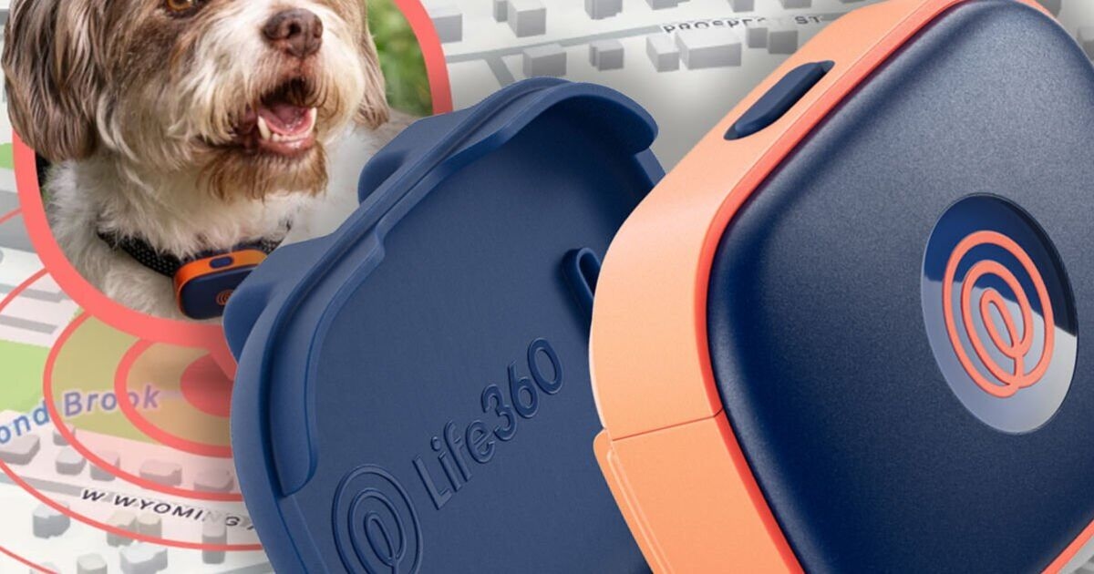 Apple AirTag rival helps find your lost pet with GPS tech