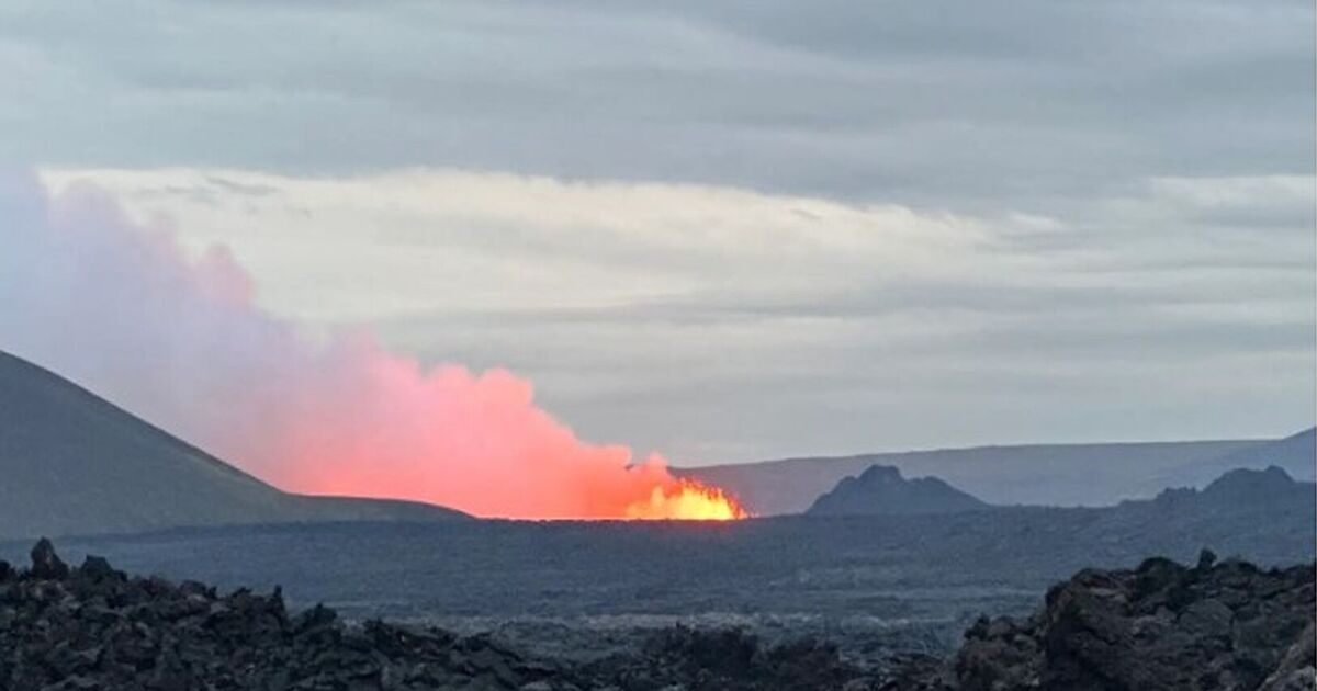 Iceland volcano eruption LIVE: Families and tourists evacuated as Sundhnúkur spews lava