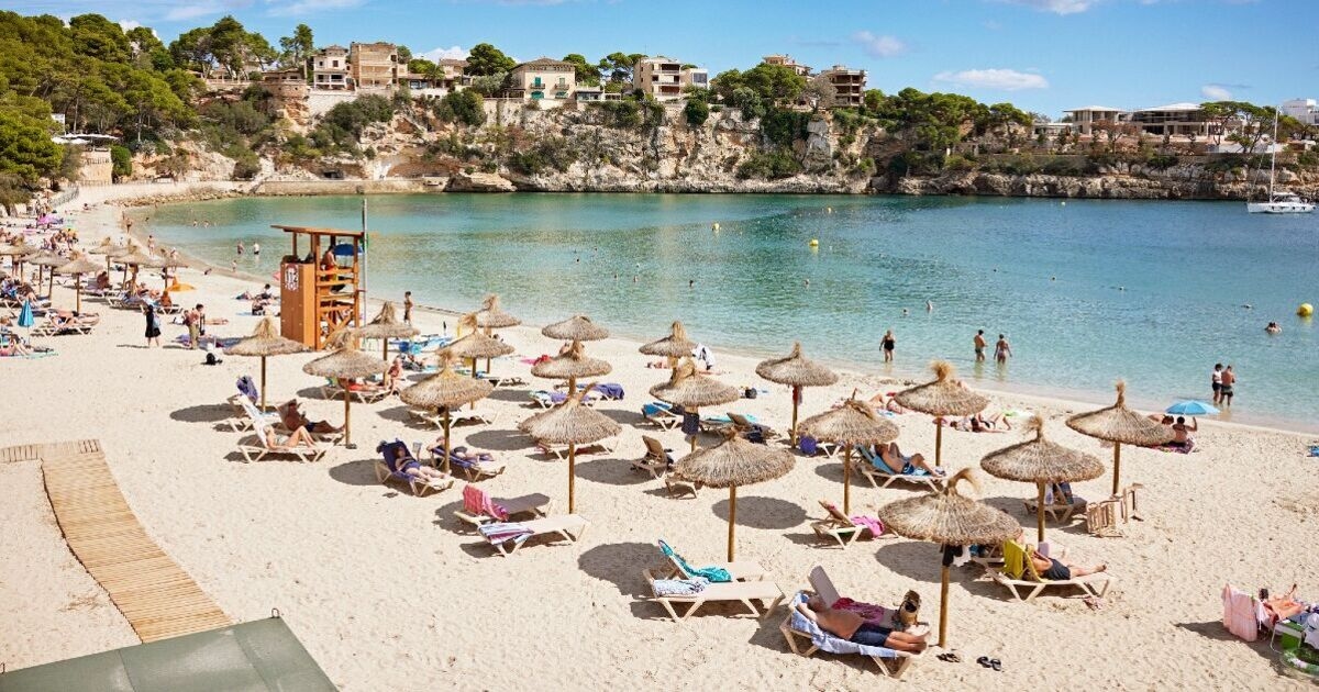 Panic in Majorca as tourist numbers drop after Brits told 'don't come here!'