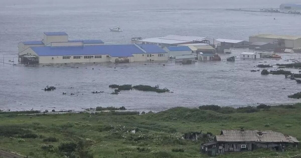Tsunami no Havaí AO VIVO: Japão, Rússia e toda a costa oeste dos EUA correm risco de maremoto