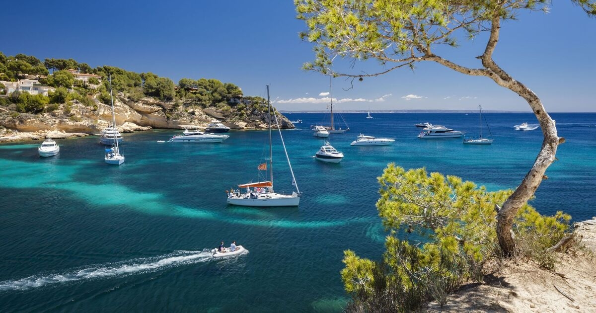 Mallorca'da uçağın denize düşmesiyle panik yaşandı