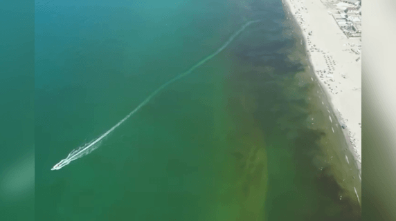 Licola's sea turns brown: investigations into the spills begin