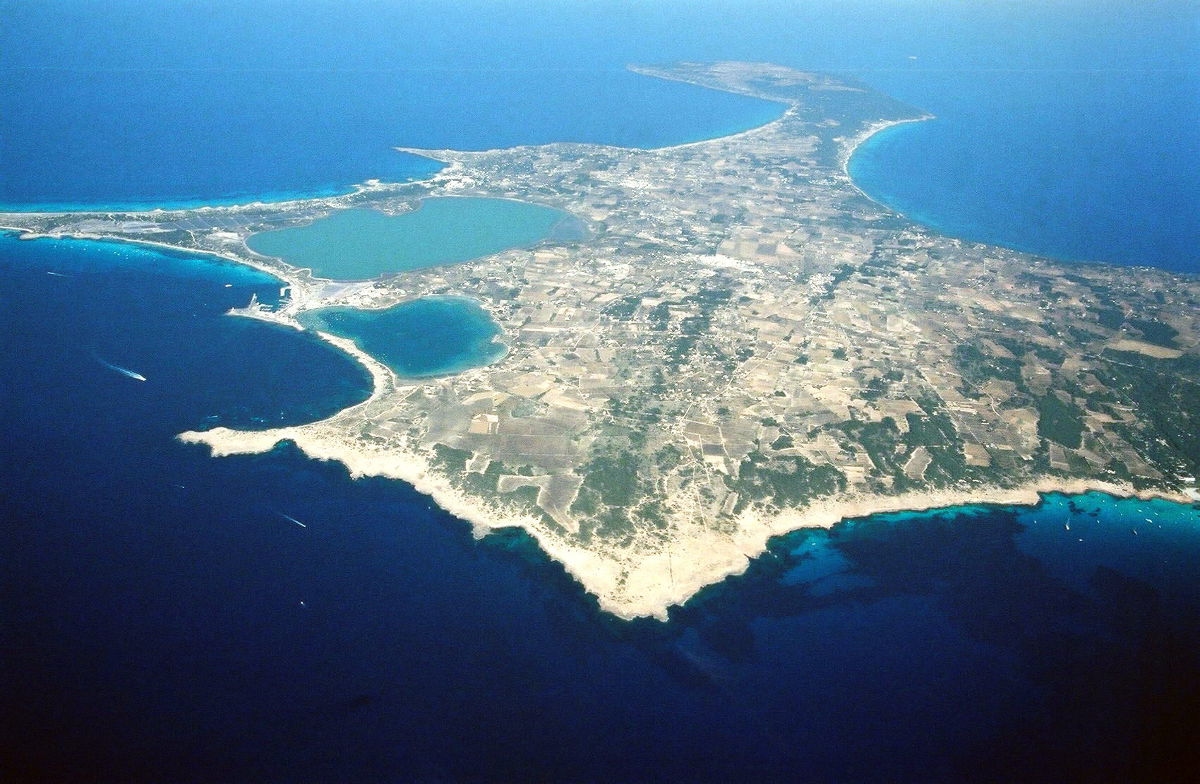 Um Formentera um 1 bis 3 Grad abzukühlen, werden fast eine halbe Million Bäume gepflanzt.