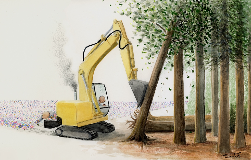 Esquizofrenia forestal (versión extendida). Por Víctor Solís (@visoor) en la Viñeta Verde en EFEverde