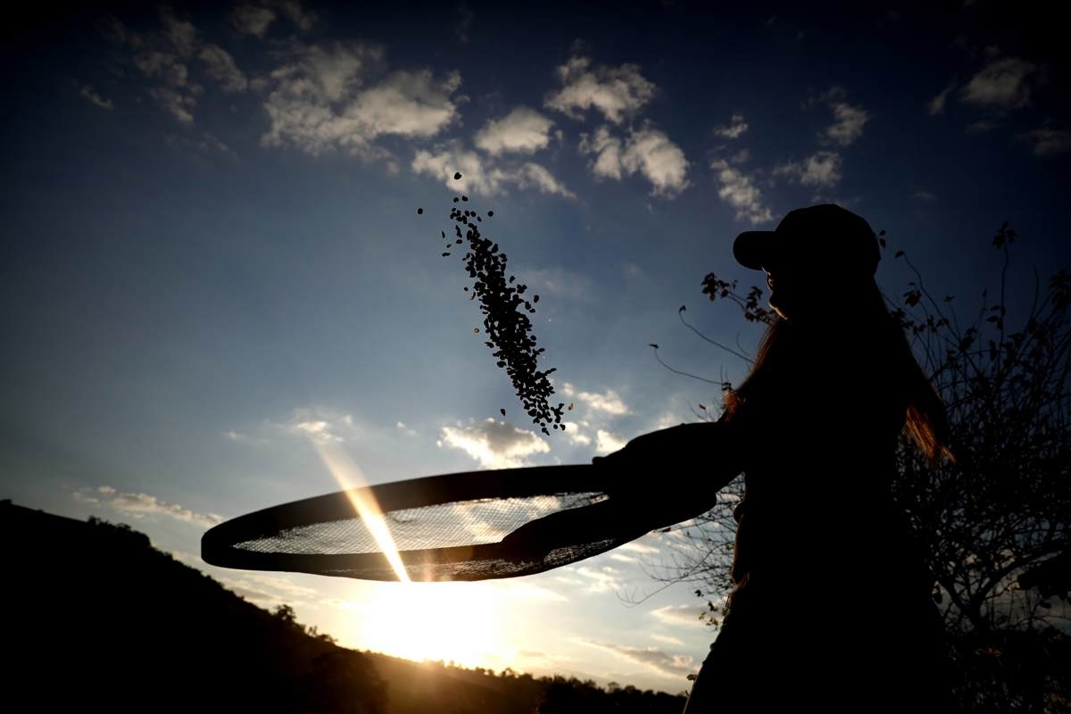 O Brasil busca liderar o mercado global de bioinsumos com sua agricultura tropical e tecnologia verde.