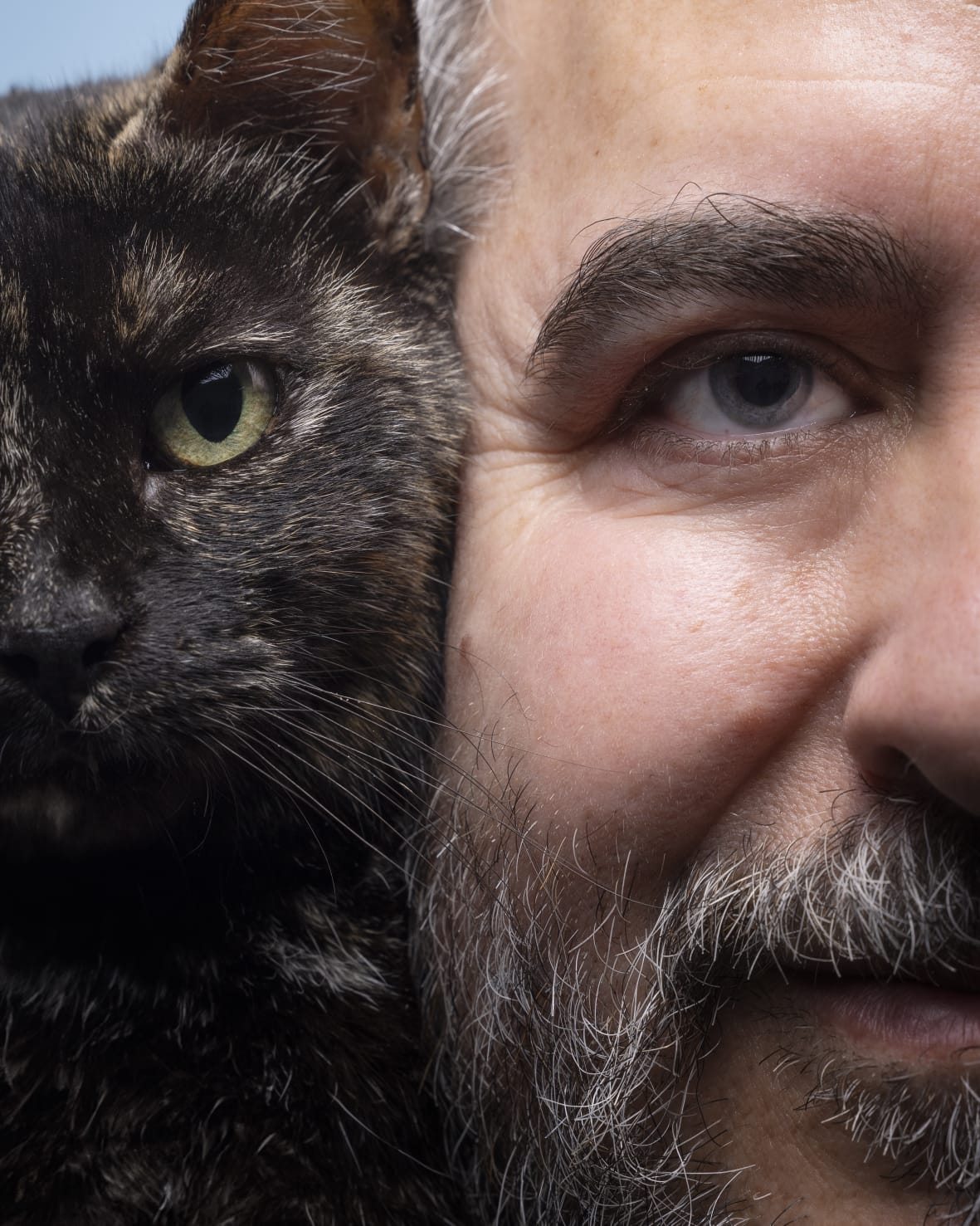 Niemandes Katzen: Eine Gesellschaft, die ihre unsichtbaren Nachbarn immer noch nicht versteht. Von Fernando Ocaña / Regisseur von „Saving Furry Friends“