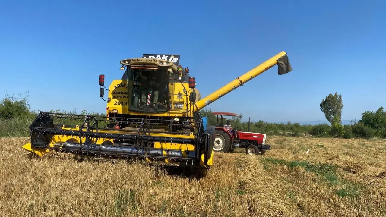 Drought delays harvest: Yields double in irrigated lands
