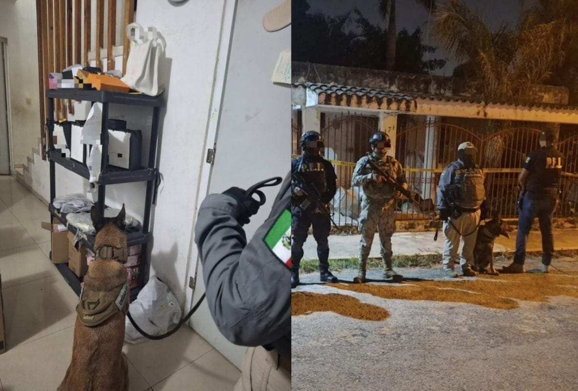 La polizia distrettuale sequestra stupefacenti durante una perquisizione a García Ginerés.