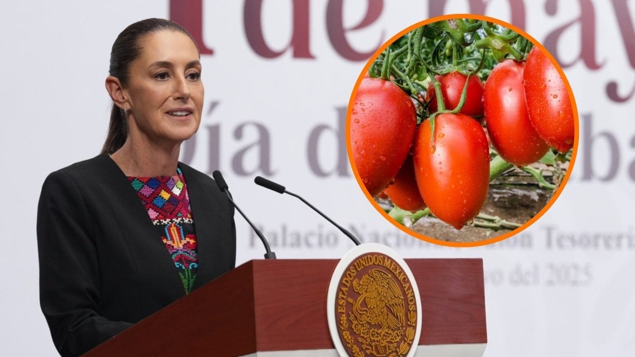 Mexicaans plan reageert zonder confrontatie op Amerikaanse tomatenheffingen, zegt Sheinbaum