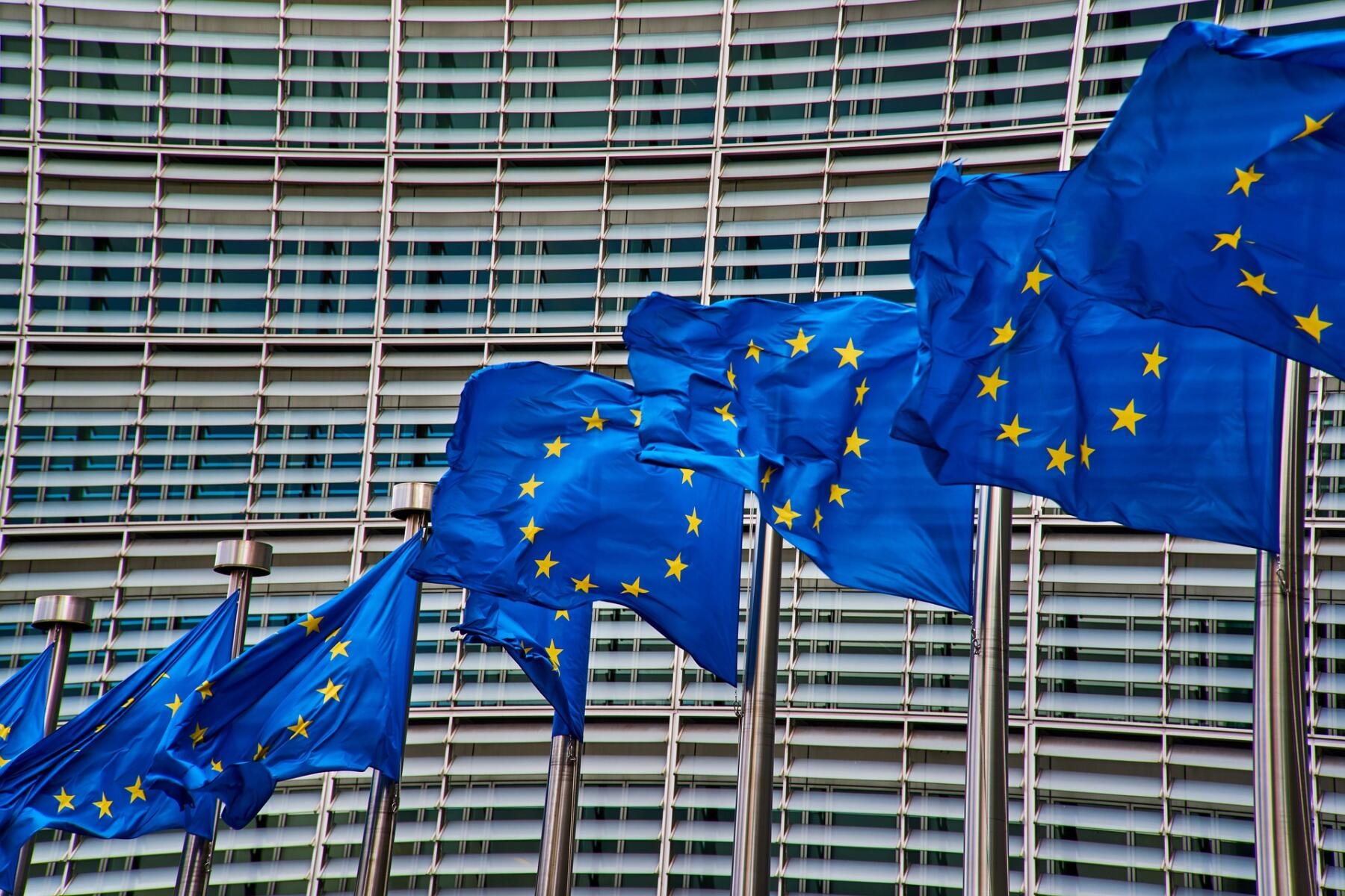 Европейская комиссия предложит новую отсрочку постановления о борьбе с вырубкой лесов.