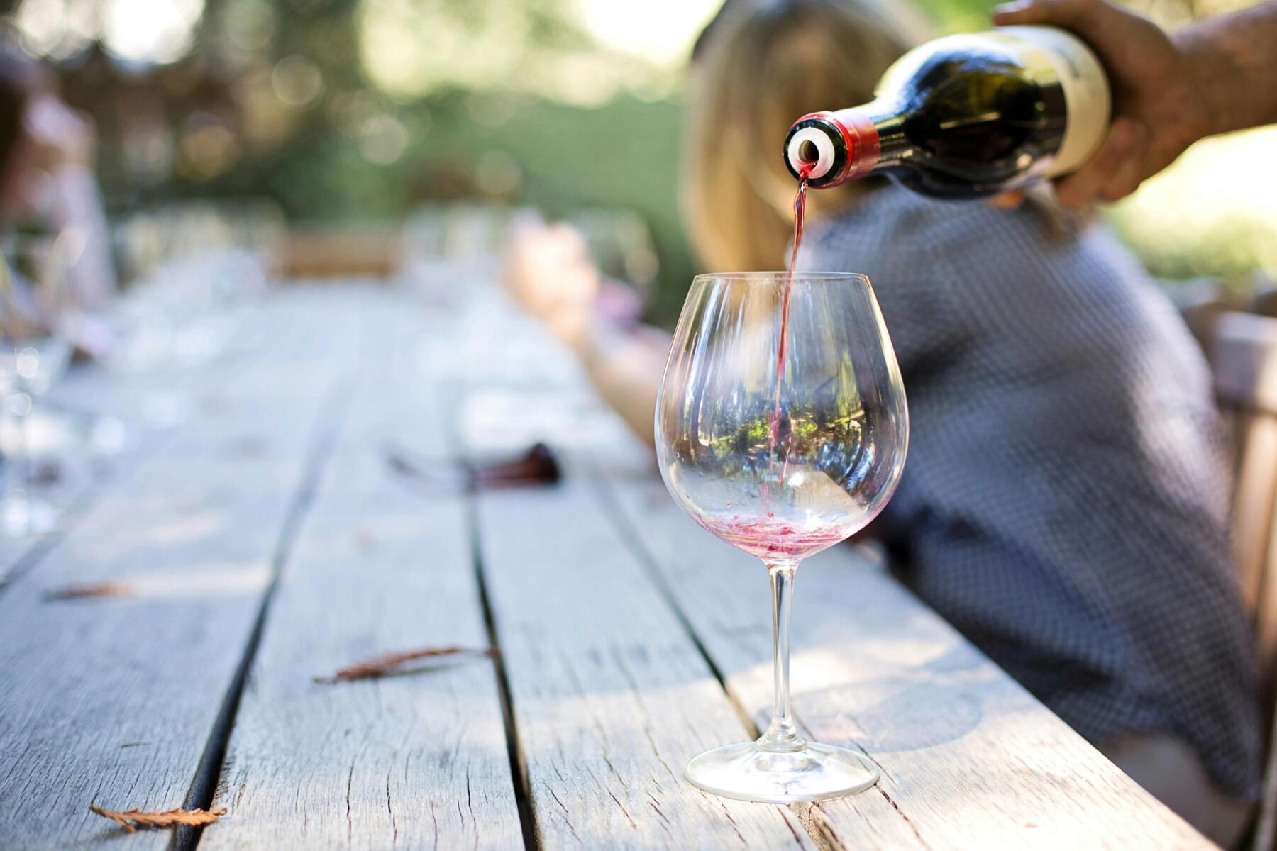Wine, in 2024 Italy regains first place in production, exports grow by over 5%