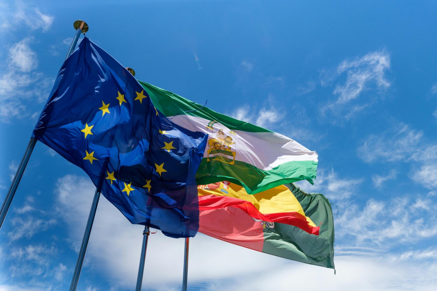 UE: in arrivo i nuovi target sul clima al 2040, possibile inclusione dei crediti di carbonio, Paesi divisi