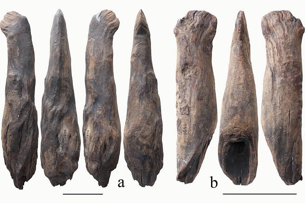 Una excavación revela herramientas de madera de 300.000 años de antigüedad en China