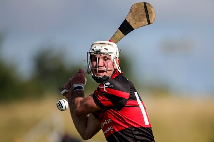 Mount Leinster Rangers onttronen St Mullin's voor 12e Carlow SHC-kroon