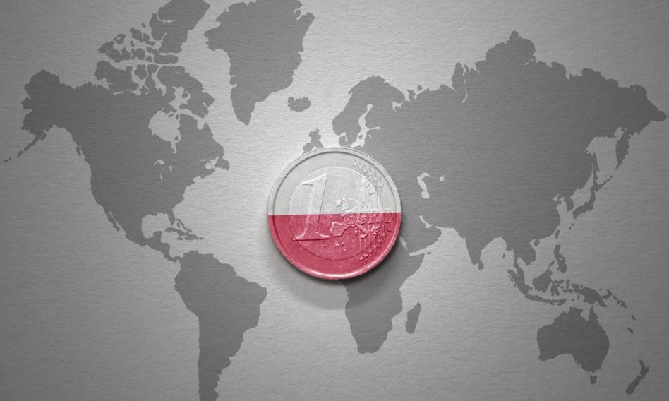 ¿Polonia en la eurozona? Domański habló sobre el trabajo.