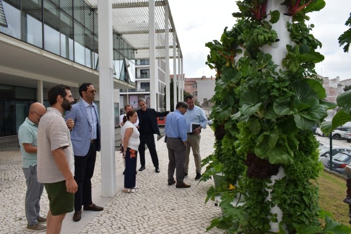 OesteCIM opens sustainable vertical garden in Caldas