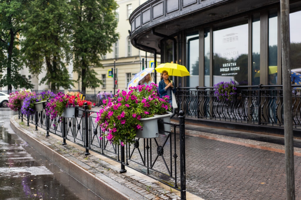 A primeira semana de junho pode começar com chuva para os moradores de Novgorod