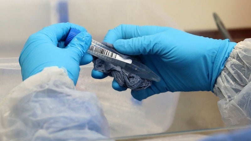 The FDA Launches Its Generative-AI Tool, Elsa, Ahead of Schedule