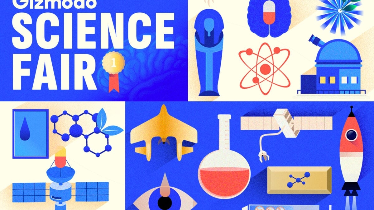 Les gagnants du concours scientifique Gizmodo 2025