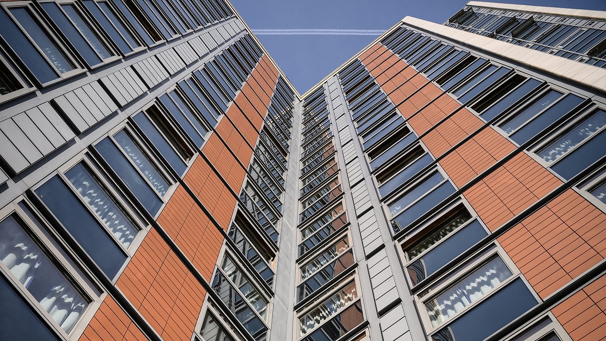 Demand for student digs and plush offices helping buoy commercial property 'revival'