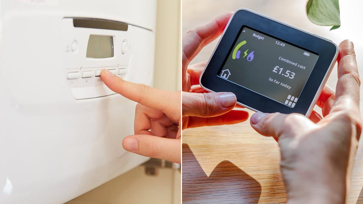 Risparmia 20 £ al mese sulle bollette energetiche attivando l'interruttore della modalità "estiva" della tua caldaia