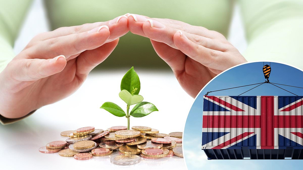 Come proteggere i tuoi investimenti dai dazi: queste sei azioni britanniche potrebbero rappresentare un porto sicuro