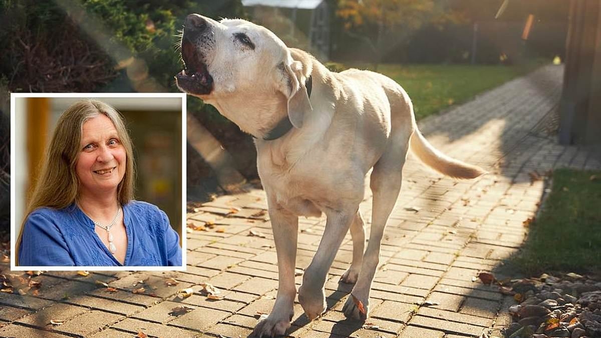 Mis vecinos se quejan de los ladridos de mi perro: ¿podrían denunciarme?