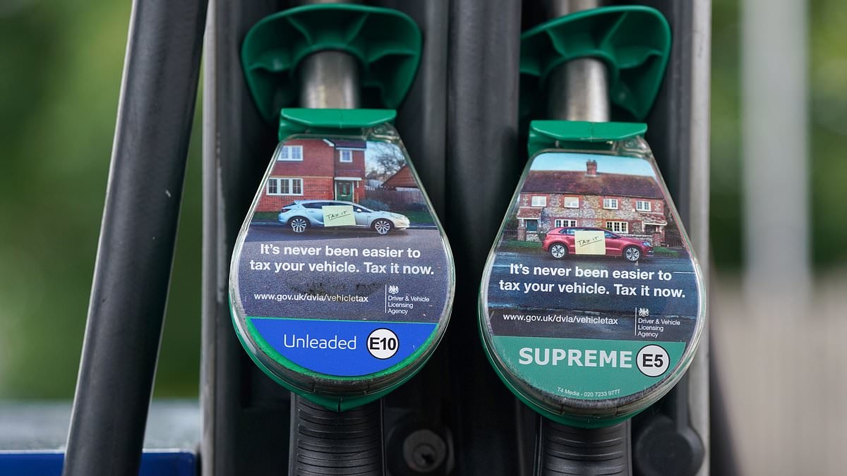 Government's green agenda has added 3.5p to every litre of petrol since 2021 thanks to E10 switch