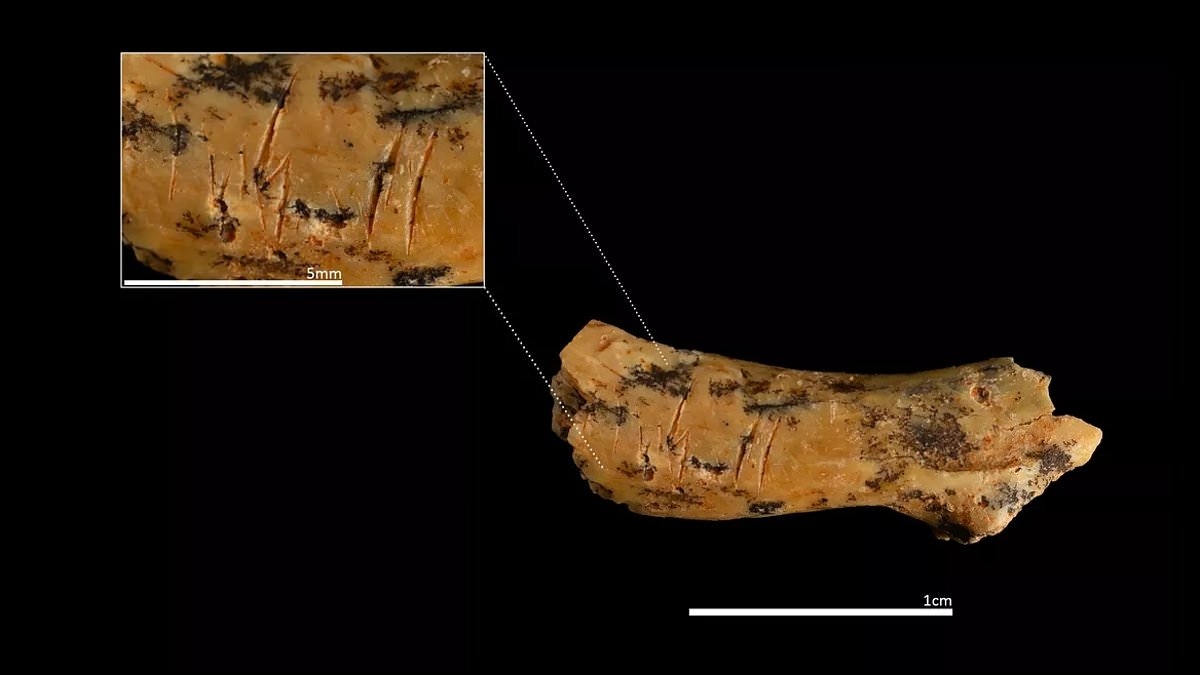 Our ancestors were CANNIBALS: Scientists discover grisly evidence ancient human species ate children 850,000 years ago