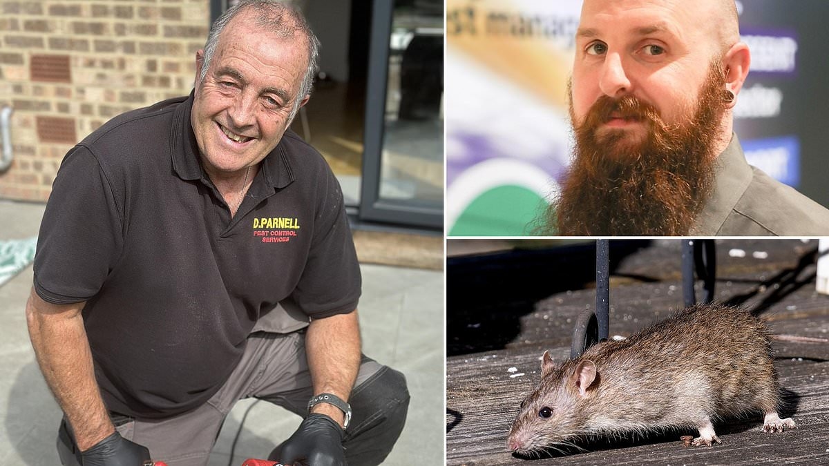 We have supersized rats under the decking at home - what should we do?