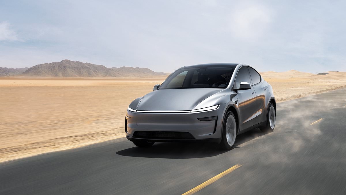 Tesla Model Y review: FREDA LEWIS-STEMPEL on whether it can help boost sales for the Musk owned car firm in Britain
