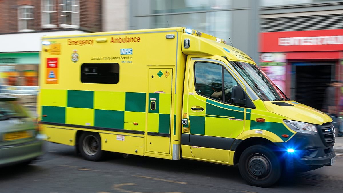 Stroke patients should not be tempted to make their own way to hospital despite ambulance delays, charity warns