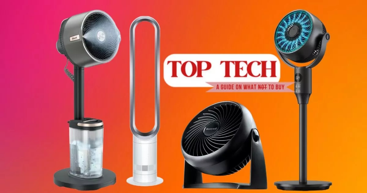 Top-Technik: 5 Ventilatoren von Amazon, Shark und Dyson gegen die Hitzewelle