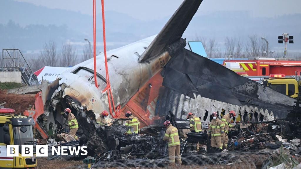 Plane crash victims' families file complaint against Jeju Air CEO